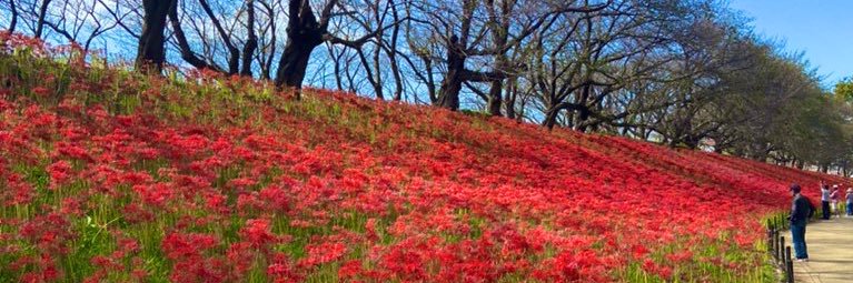 54_hoso's profile banner image