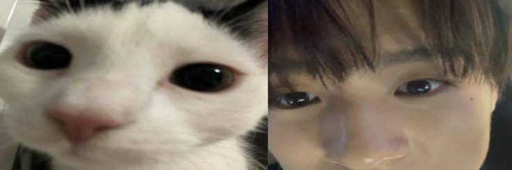 nseo banner
