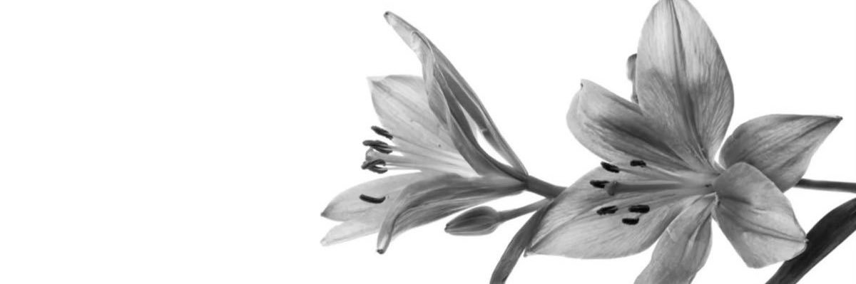 yr___iiy's profile banner image