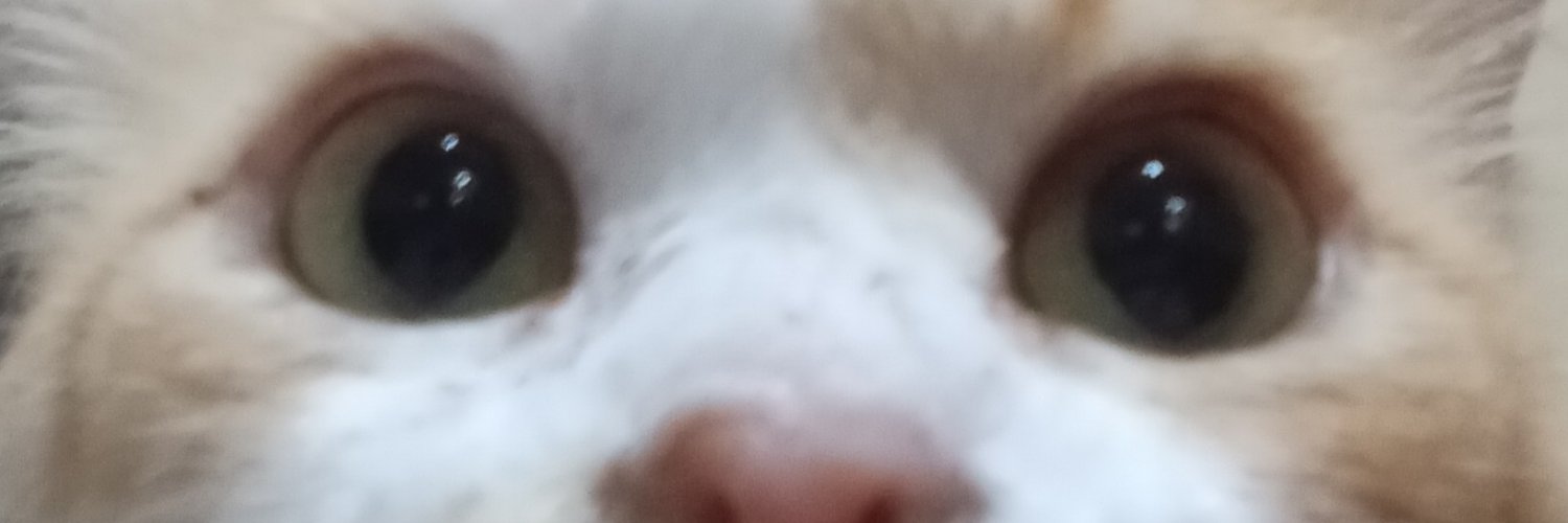embiayyy's profile banner image