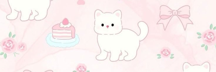 ＰＡＴＣＨＡ🎀✨ banner