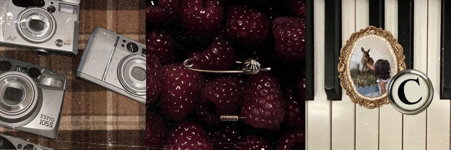 * 𝓬αssıe 𝒎ontαnα banner