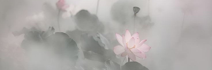 sunkissed_mf's profile banner image