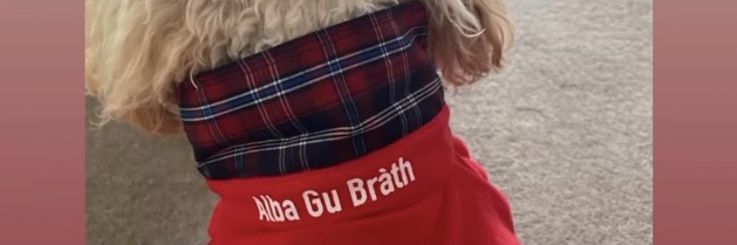chloegebbie's profile banner image