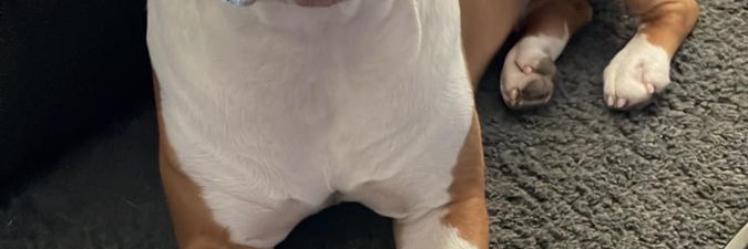 Williamsparf's profile banner image