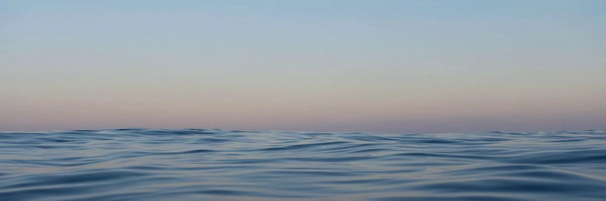 tterflyswo's profile banner image