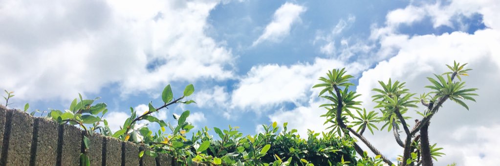 yoominimm's profile banner image