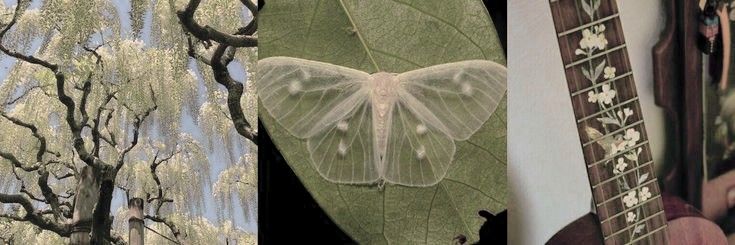 𑣲𝒜𝐧𝐝𝐢𝐞 .ᐟ banner