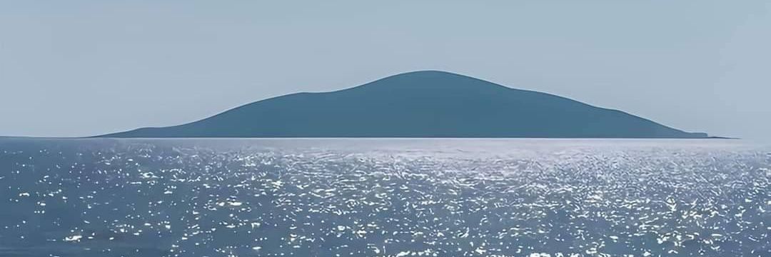 Thicckoki🐸 banner