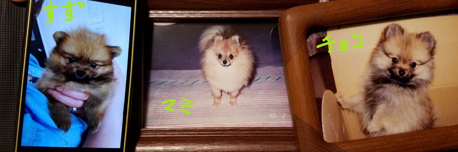 チョコ　チョコチ banner