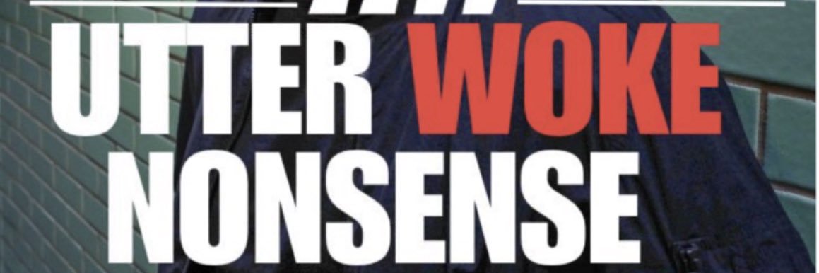 Manic the Hedgehog banner