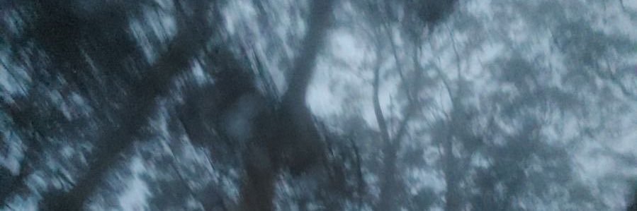 2lowv's profile banner image