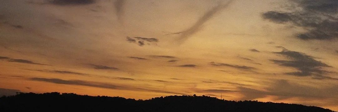 ameowlicious's profile banner image