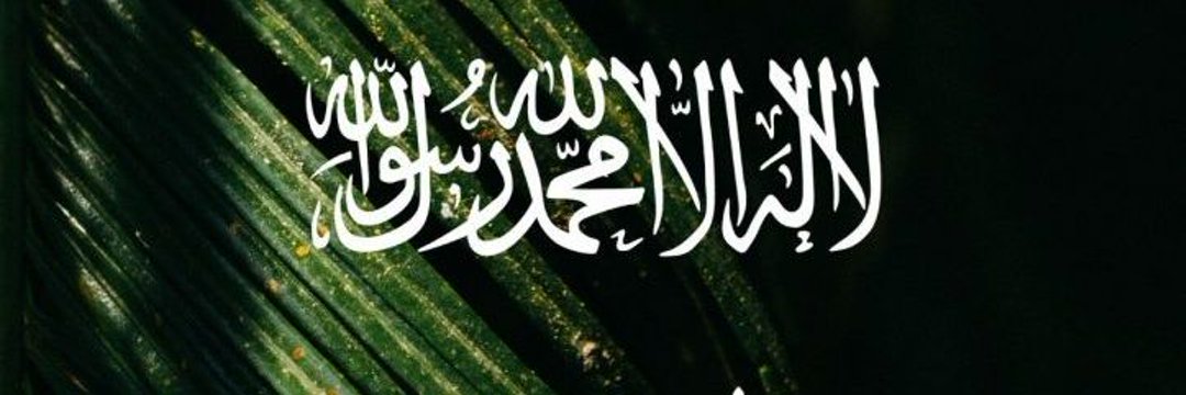 N3f2d's profile banner image