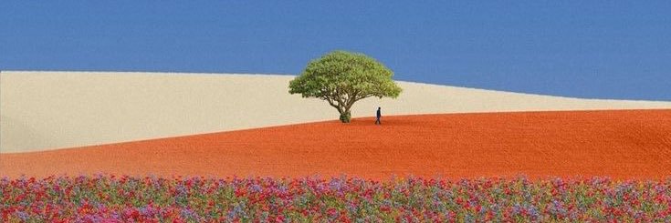placoo_'s profile banner image