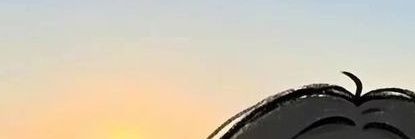 by zalm banner