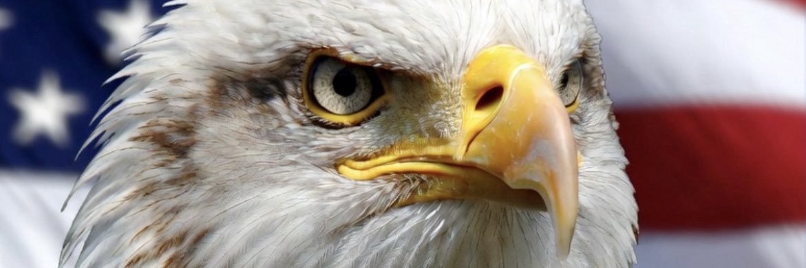 MoossoliniDaGod banner