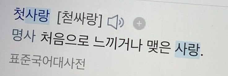 도영 banner