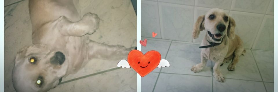 GiseleFabriga's profile banner image