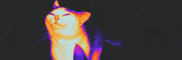 Wisel banner