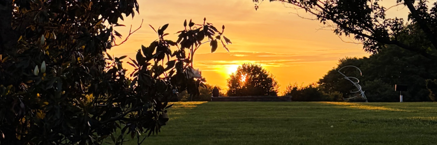 Wv1973242's profile banner image
