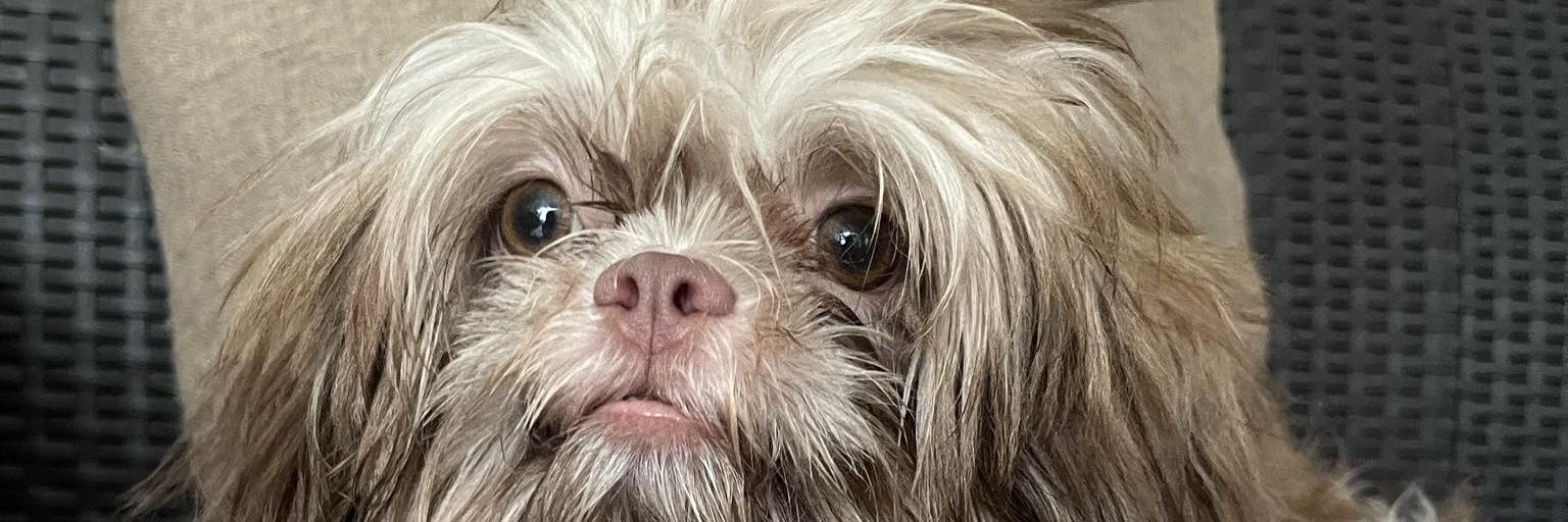 kimymoore's profile banner image