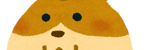 ハムサラ banner