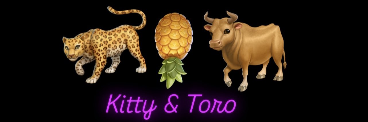 KittyAndToro's profile banner image