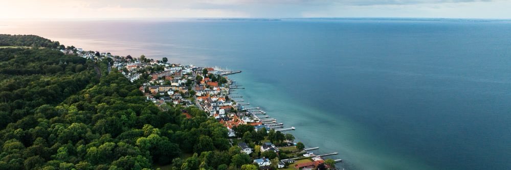 Dan Frihedsen banner