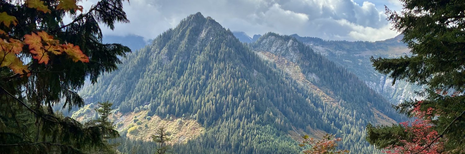 Kate Sedrowski banner