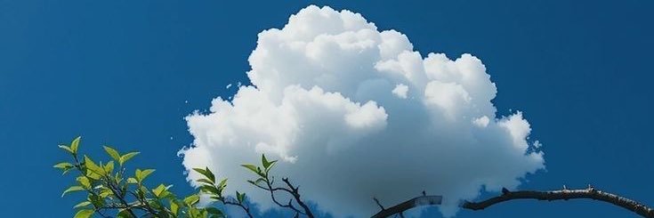 J.diaz♻️ banner