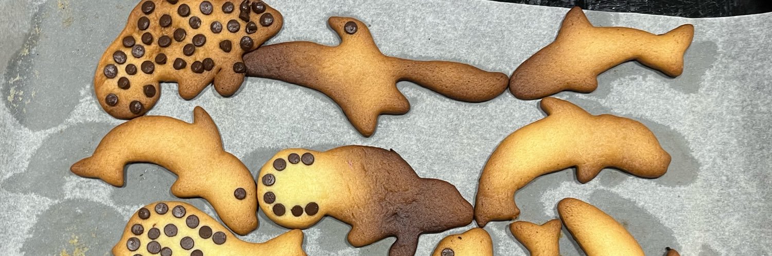 Trasportino2.0 banner