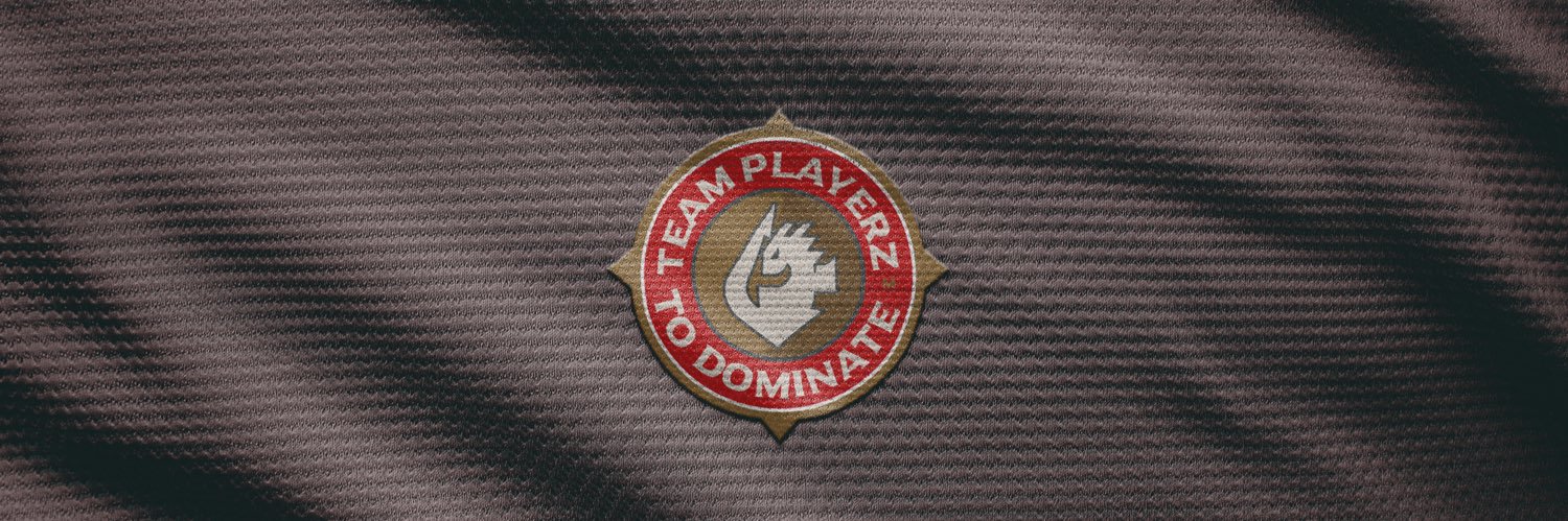 Team PlayerZ banner