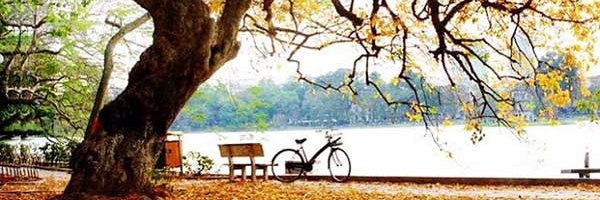 HmHeomay's profile banner image