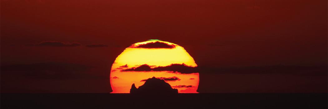 bio2k's profile banner image