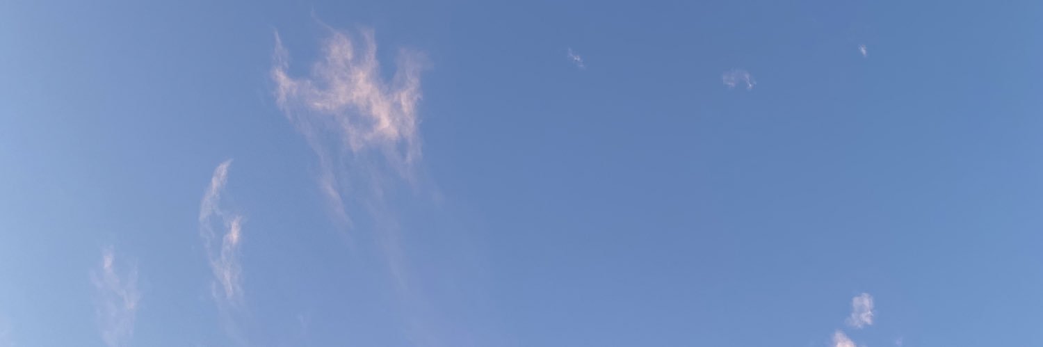lindsaycarson33's profile banner image