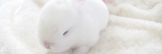 qwrrsdoll's profile banner image