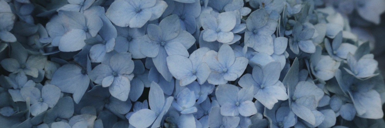 侑 banner