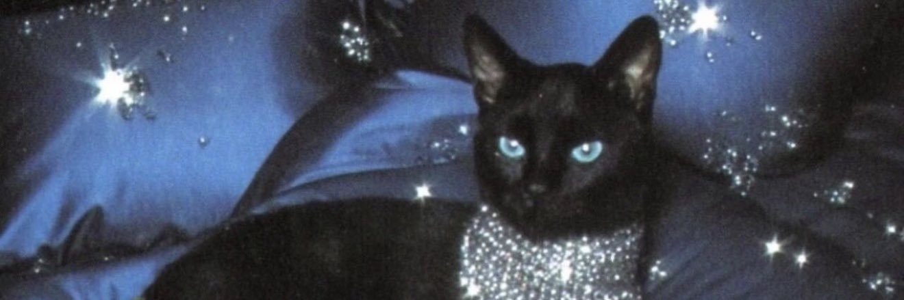 qsjdsbdqs's profile banner image