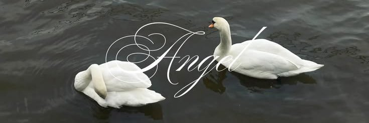 B banner