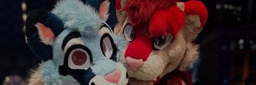 Precision _ Furry banner