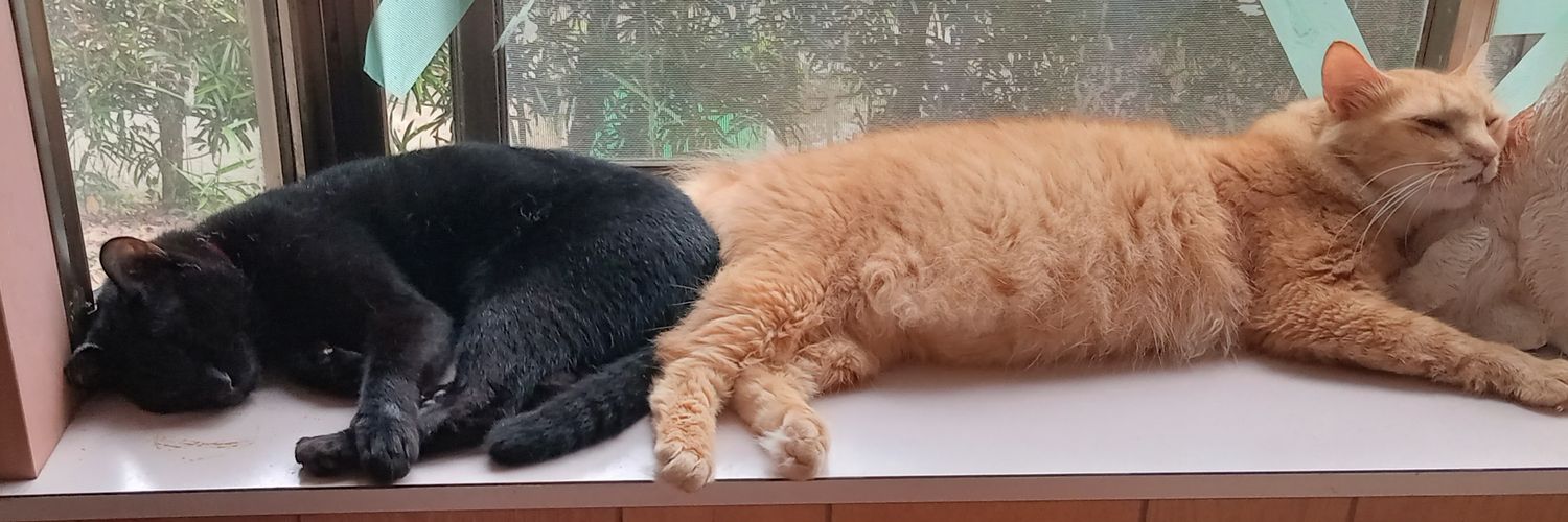 天藍(四猫日和) banner