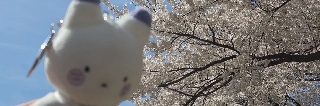 설치류야비 banner