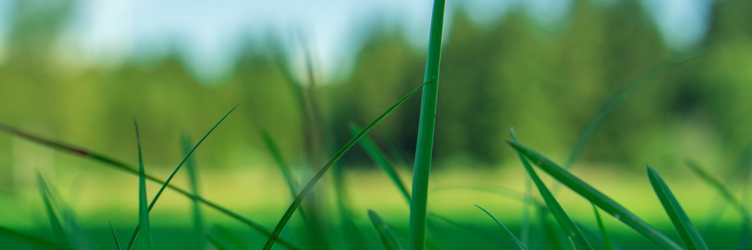 Superanton's profile banner image