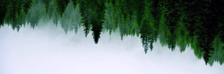 kapu94's profile banner image