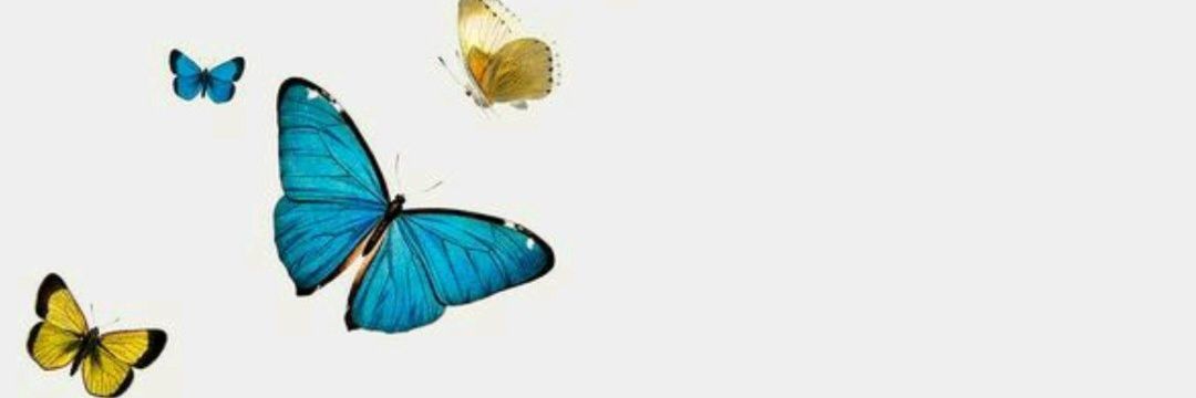 Ligiandreea's profile banner image