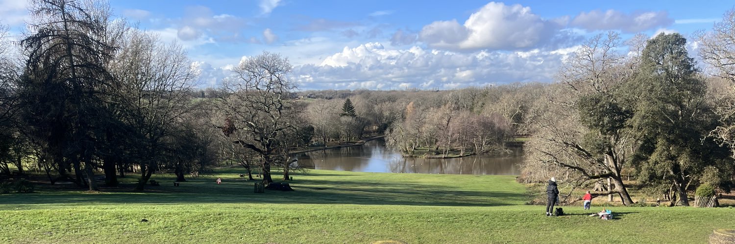 Stacey Thompson banner