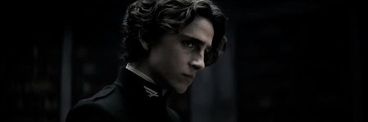 🕸️ ׁ ꒰𝗔cervo 𝗥egulu𝘀 𝗕. 𝅙ִ ₍ᐢᐢ₎ banner