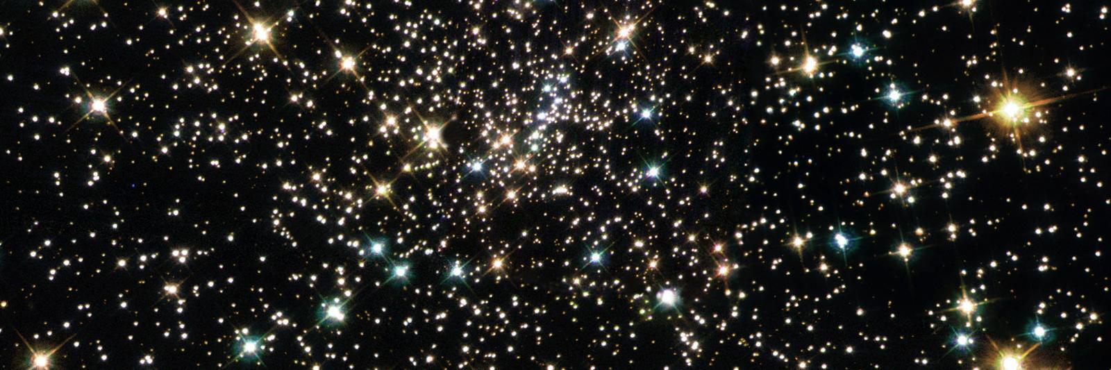 Timothy J. Barhorst banner