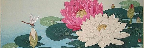 serpienteoro's profile banner image